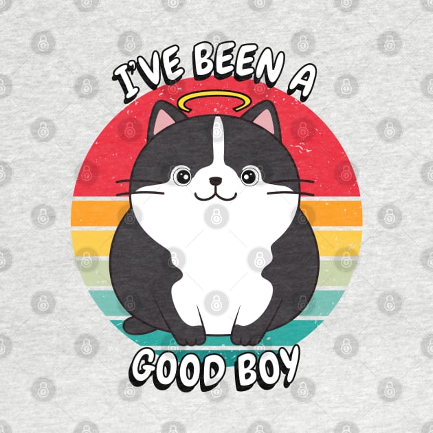 Cute fat cat is a Good Boy by Pet Station